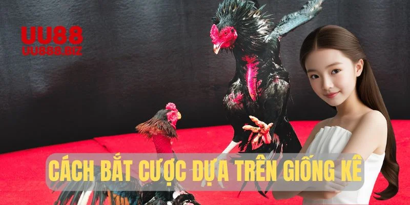 Cách bắt cược dựa trên giống kê