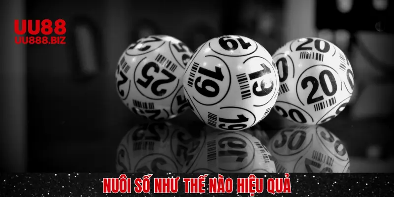Những chiến thuật nuôi siêu hiệu quả