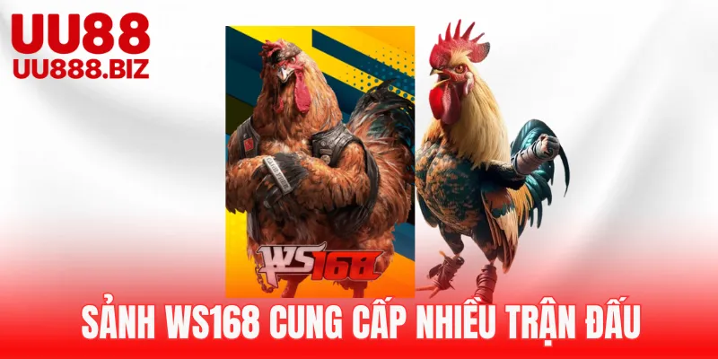 Sảnh WS168 có lượt truy cập khủng
