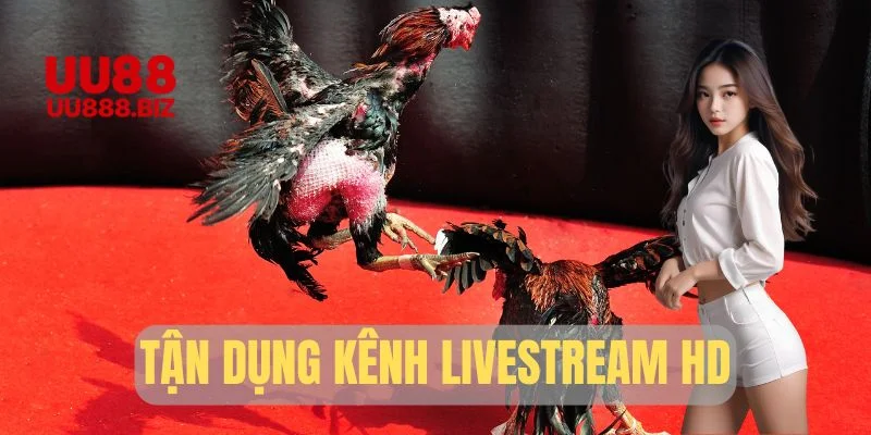 Tận dụng lợi thế từ kênh livestream HD